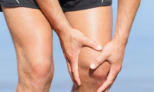ligamento cruzado anterior